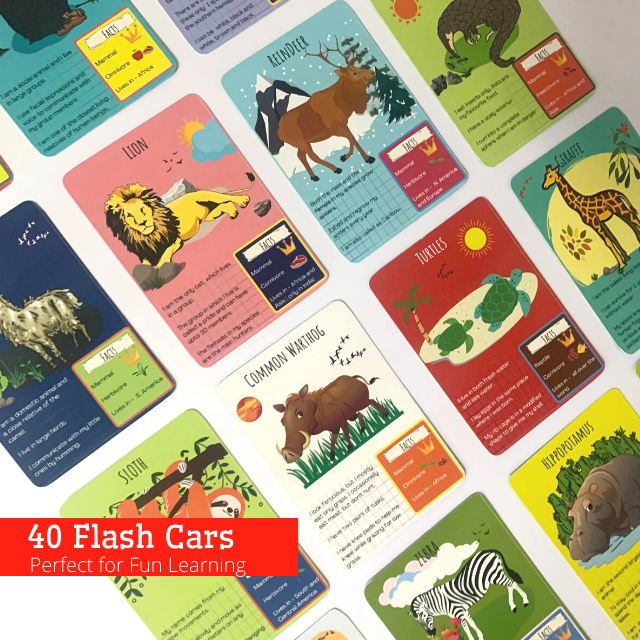 Brain Flash Cards for Kids